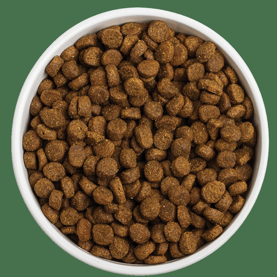 For Dogs Redbarn Dry Dog Food | Grain-Free Sky Recipe Dog Food