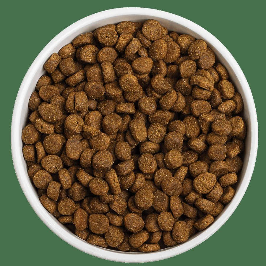 For Dogs Redbarn Dry Dog Food | Whole Grain Ocean Recipe Dog Food