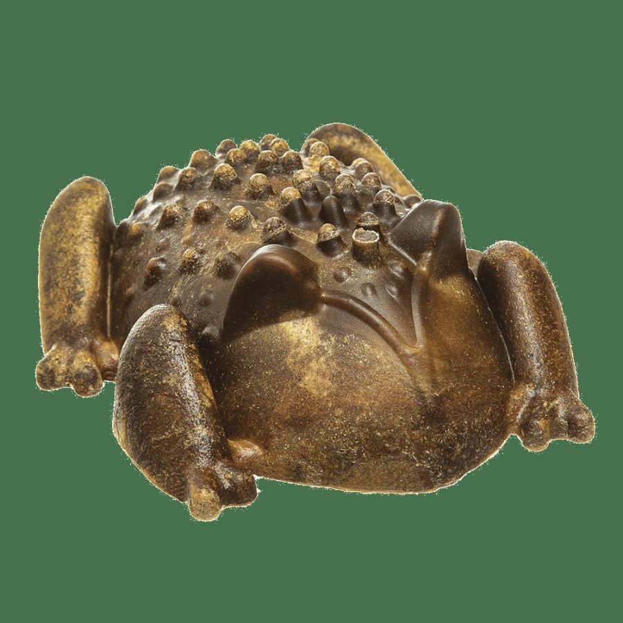 For Dogs Redbarn Rewards & Treats | Chew-A-Bulls® Horned Toad