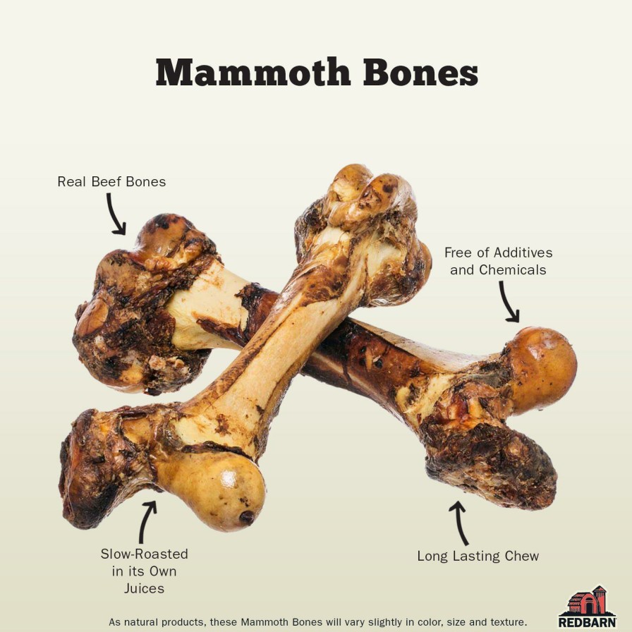 For Dogs Redbarn Bones | Mammoth Bone